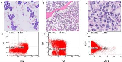 Case report: Sustained complete remission with ivosidenib in a patient with relapsed, IDH1-mutated acute leukemia